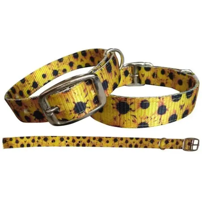 Sunflower designed nylon dog collar Sunflower designed nylon dog collar