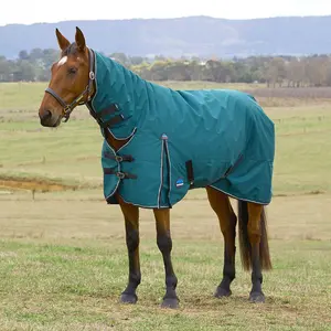 WeatherBeeta ComFiTec Classic Combo Neck Heavyweight Turnout Blanket for Horses, 360g - Waterproof, Breathable & Full Coverage