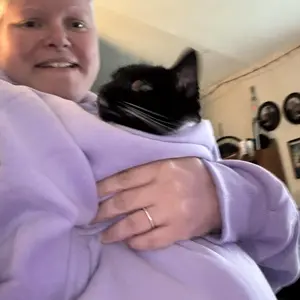 Pouch with cat
