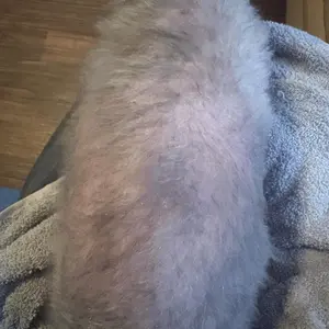 Itch Relief Spray –PUAINTA Vet Recommended Skin Soothing Quantum Silver Spray for Dogs & Cats, Helps Reduce Scratching & Hot Spot Discomfort, Gentle Daily Care, Natural Formula & Safe to Lick