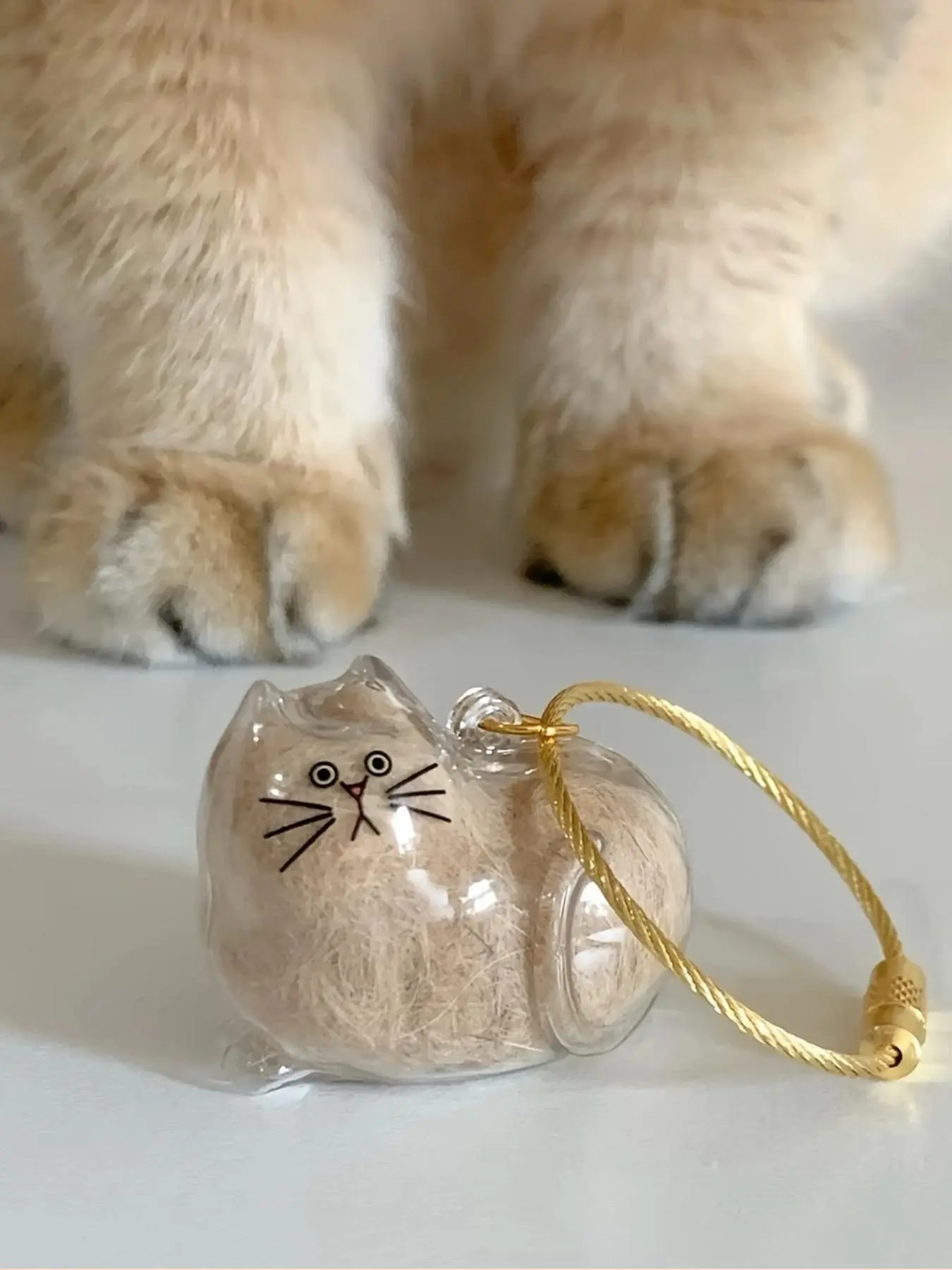 1pc Cute Cartoon Kitten Keychain, Keychain Kawaii, cute keychain accessory, Transparent Oval Key Pendant, Cat Hair Storage Box, No Batteries Required, Suitable For Novel Gifts For Cat Lovers, Pet Owners