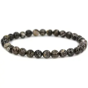 Natural Cowry Fossil Gemstone 6mm Round Beads Stretch Bracelet 6.5" Unisex