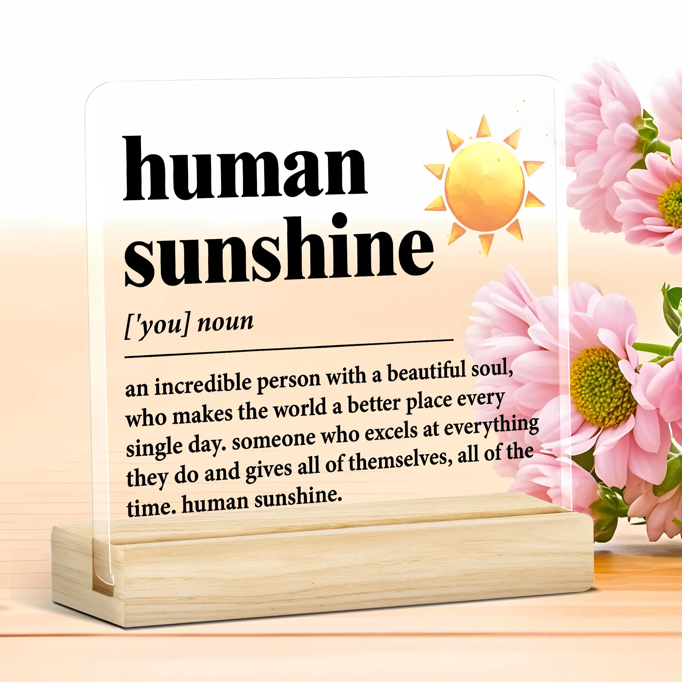 Human Sunshine Definition Acrylic Plaque Motivational Gift for Teacher or Employee, Office Desk Decor for Birthday or Christmas, Farewell Appreciation Gift