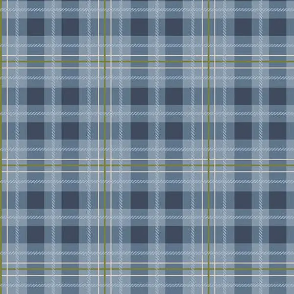 Fabric Art Gallery After the Rain Check Plaid Highland Flannel by the Quarter Yard F-12801