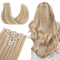 #18A/613A Dirty Blonde Highlights
