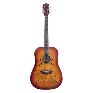 Washburn Deep Forest Burl D Acoustic Guitar *USA Small Business*
