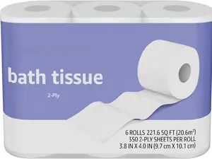 2-Ply Toilet Paper, 6 Rolls (1 Packs of 6), Equivalent to 25 regular rolls