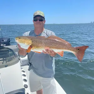 Navarre Beach Fishing Charter - 4 Hour Charter for Fishing Excitement and Catch of the Day