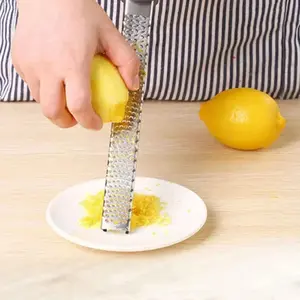 Stainless Steel Long Handle Cheese Grater