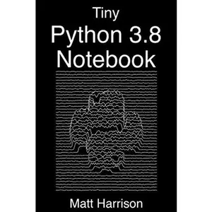 USED-Tiny Python 3.8 Notebook: Curated Examples by Matt Harrison (Paperback)