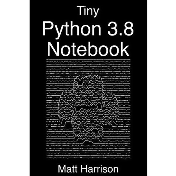USED-Tiny Python 3.8 Notebook: Curated Examples by Matt Harrison (Paperback)
