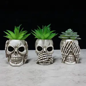 Succulent Pots with Drainage Mini Creative Skull Decor  Flower Pot 3 Cactus Planter Pots Succulent  Pots + Removable Drainage Stopper for  Office Desktop Windowsill Decor