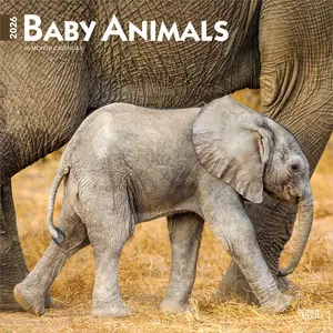 Baby Animals | 2026 12 x 24 Inch (Hanging) Monthly Square Wall Calendar | Plastic-Free | BrownTrout | Domestic Pets Chicken Small Cute