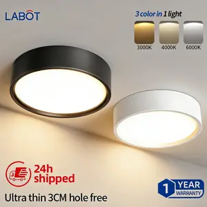 LED Small Ceiling Light, Ultra-Thin Surface Mount Cylinder Lamp, Round Pendant Light, Hallway Light, Entryway Corridor Ceiling Spotlight