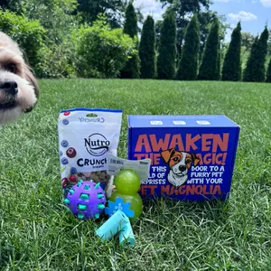 Must-Have Pet Magnolia Box Toys for Dogs interactive dog