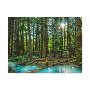 Whistler Canada Forest Beautiful Landscape Photograph Canvas Gallery Wraps