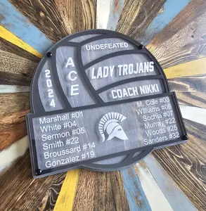Personalized Volleyball Coach Plaque, End of Season Award, Customized Gift