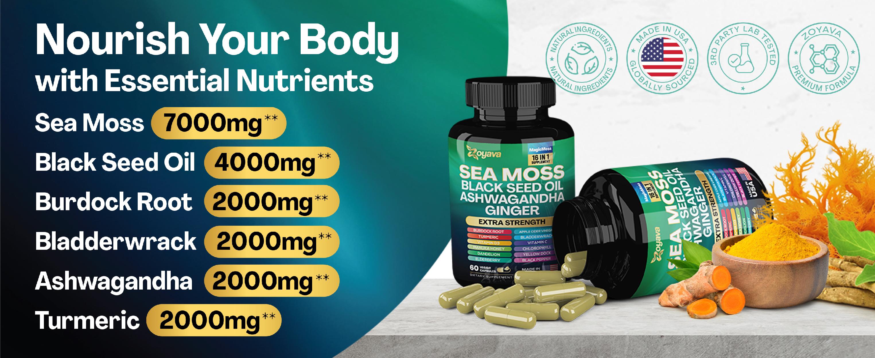 Ino-Sea Smooth Bundle - Zoyava Myo-Inositol & Sea Moss Supplements - All-in-One Multivitamin Combo with Extra Strength Ingredients - MADE IN USA