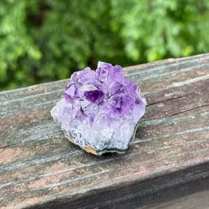 Amethyst Geode (G7) - Natural Crystal Cluster Specimen