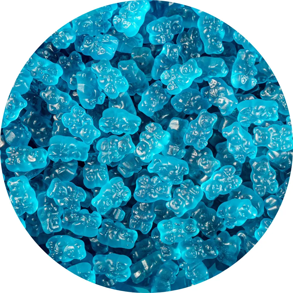 Blue Raspberry Gummy Bears, 1 LB Bulk Bag - GMO-Free Chewable Candy, Sweet Bite-Sized Party Snacks, Soft Fruit-Flavored Sweets and Desserts for All Ages, Ideal for Stocking Up for Movie Nights