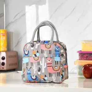 Cute Insulated Durable Lunch Bag with Dual Handles, Reusable Travel Lunch Box for School and Work, Portable Picnic Container, Eco-Friendly Design, Cute Bento Bags