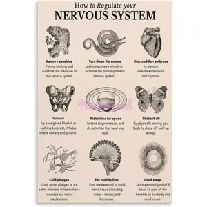 How to Regulate Your Nervous System Vintage Health Kitchen Posters Canvas Wall Art Poster for Bedroom Living Room Decor 24x36inch(60x90cm) Unframe-style