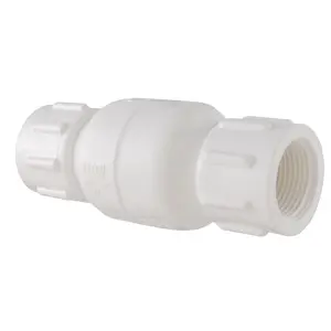 LDR PVC Check Valve