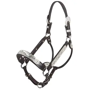 Billy Royal Riverside Rebel Show Halter