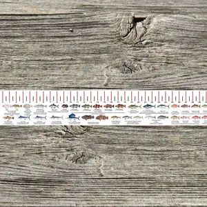 LOUISIANA STATE WATERS SALT WATER RULER 50 INCH FISH ID AND STATE REGULATIONS FISH RULER DECAL