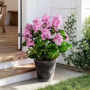 2-Pack Large UV-Resistant Artificial Hydrangea Plants, Realistic Fake Plastic Floor Trees, Decorative Indoor Outdoor Faux Plants for Home, Garden, Office Decor