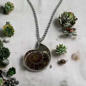 Ammonite Necklace