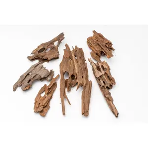Dragon Wood