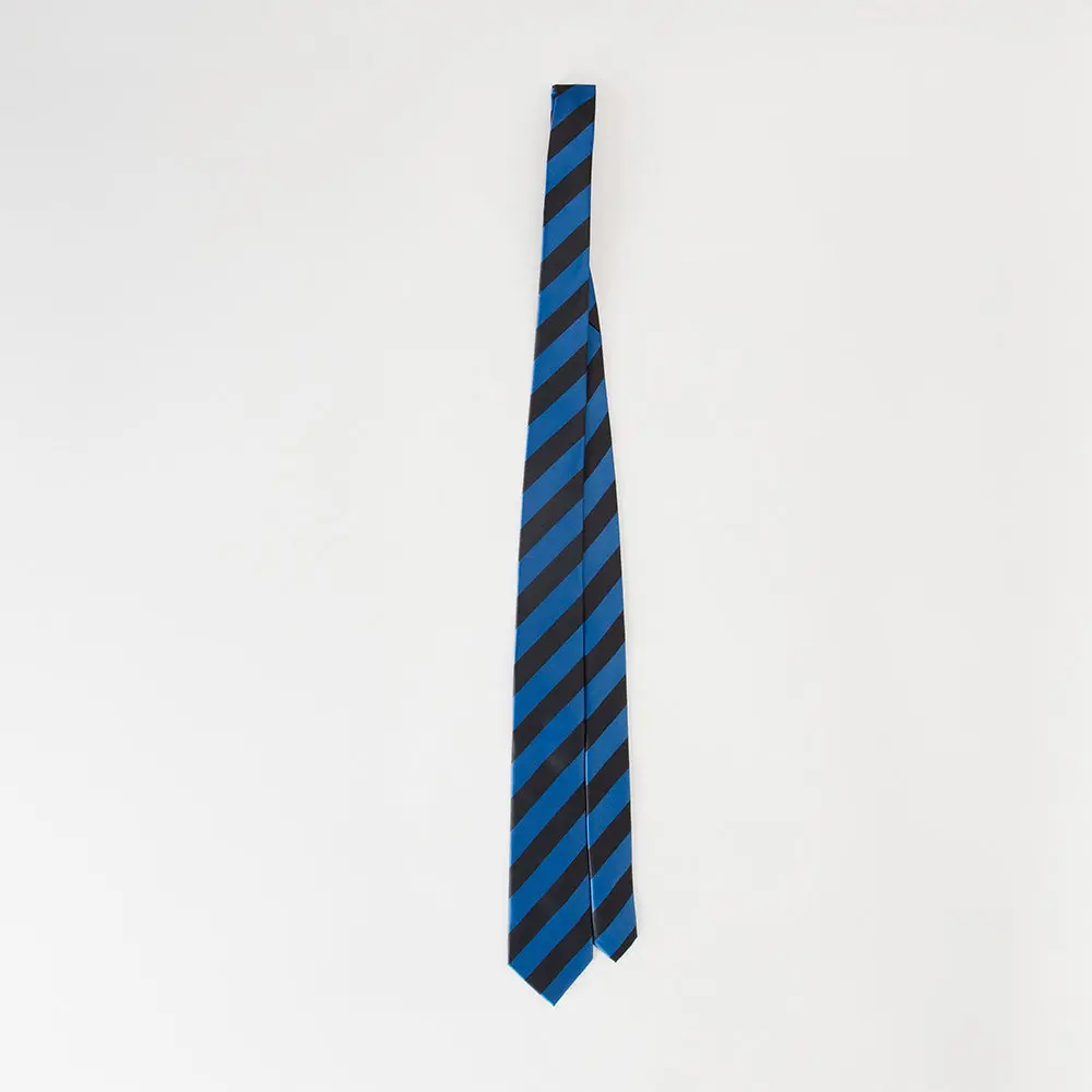 Black & Blue Striped Necktie