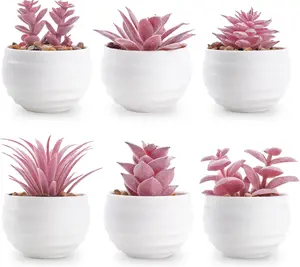 Set of 6 Pink Succulents Plants Artificial in Pots Small Fake Plants for Pink Room Decor Office Desk Accessories for Women