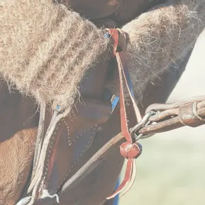 Martin Saddlery Tie Down Hobble - 3/8" Latigo Leather with Braided Button Knot Safety Strap