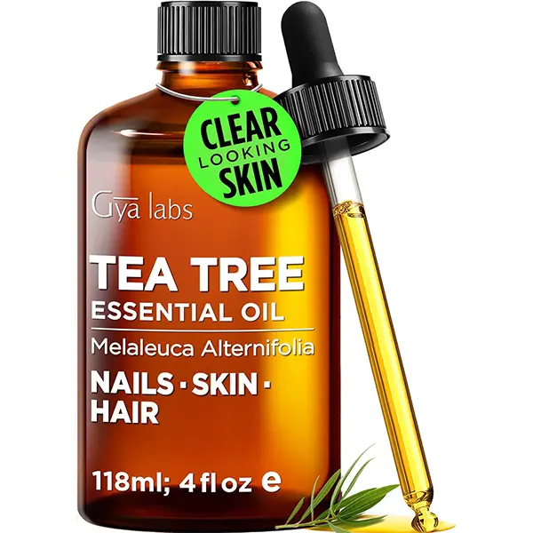 Gya Labs Tea Tree Essential Oil - 4 Fl Oz