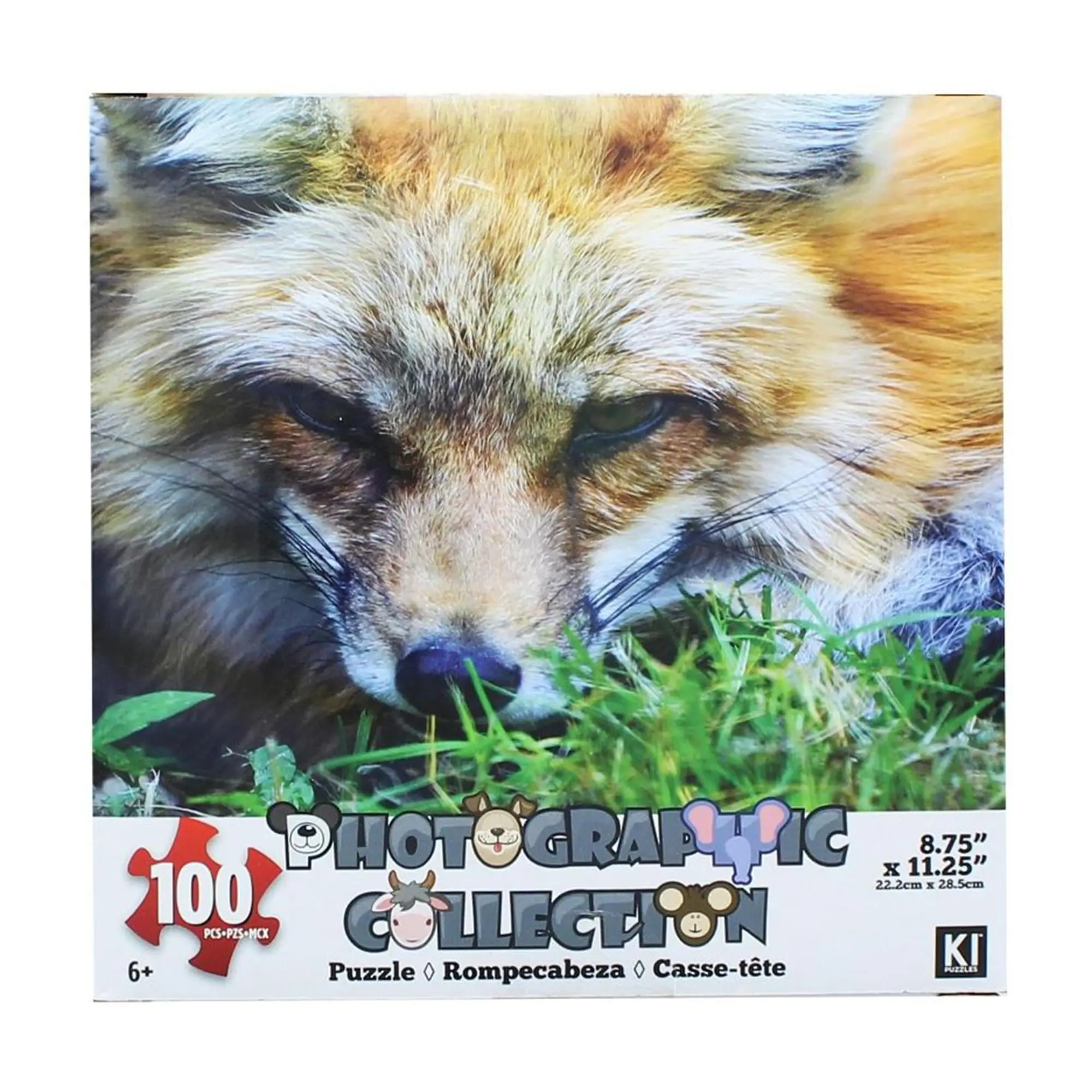 Fox 100-Piece Photographic Collection Creative Puzzle, Ideal for Family Bonding Time, Toys & Hobbies Board Game