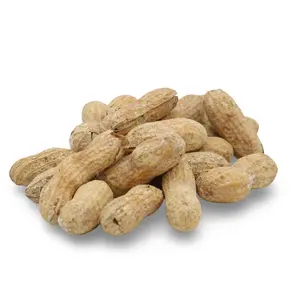 Salted Roasted Peanuts In Shells, Freshly Harvested, 100% US Grown, 1 Lb Tub Salted Roasted Peanuts In Shells, Freshly Harvested, 100% US Grown, 1 Lb Tub