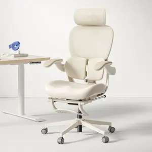 Hinomi Q2 Ergonomic Office Chair with Free Footrest