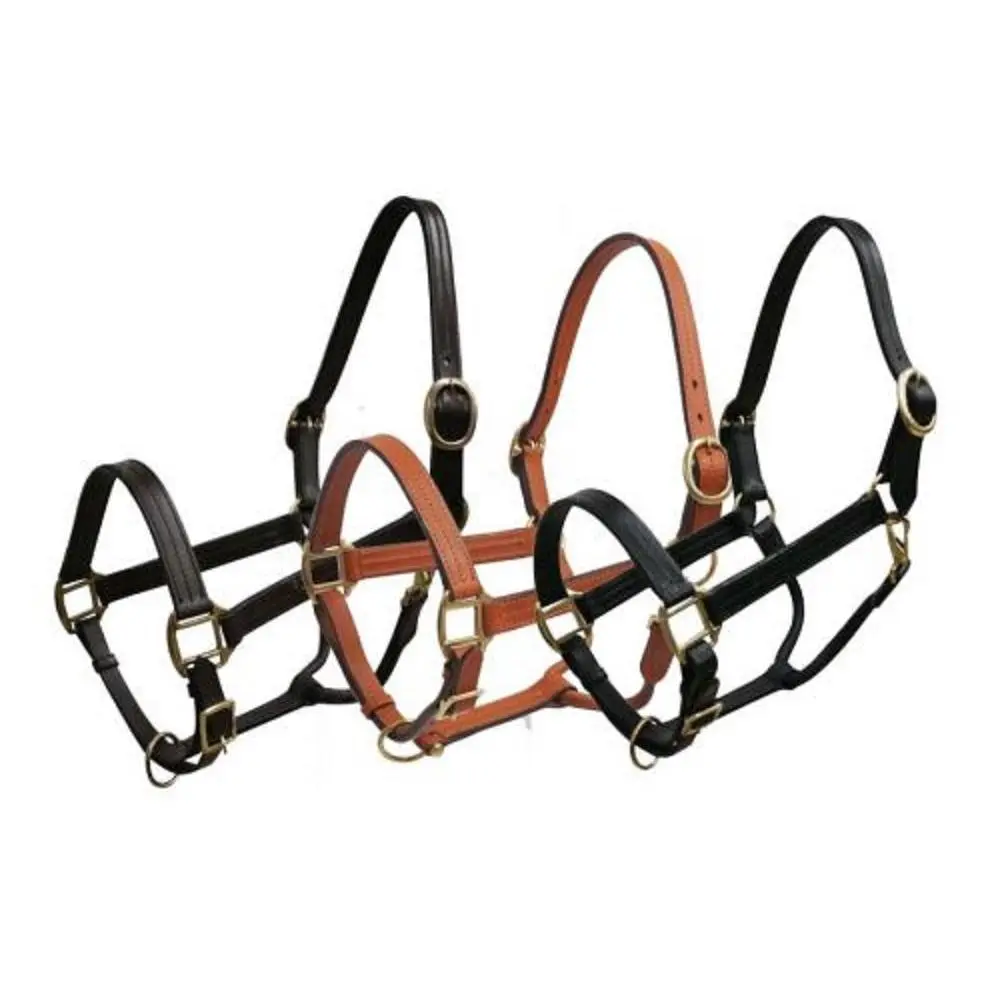 Horse size Leather Halter, Color choice