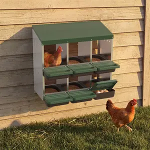 GAOMON Green Chicken Nesting Box, 6-Hole Roll Away Egg Laying Box with Lid, Heavy-Duty Galvanized Steel Rustproof Design - Easy Egg Collection, Easy Clean (Wall-Mountable Without Bracket.)