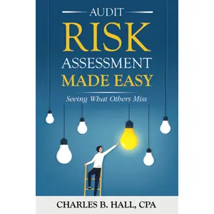 Audit Risk Assessment Made Easy: Seeing What Others Miss