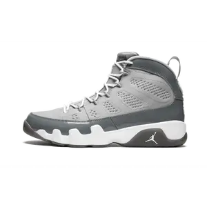 Air Jordan 9 Retro "Cool Grey" 302370 015