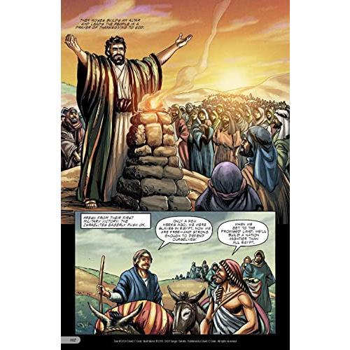 The Action Bible: God's Redemptive Story (Action Bible Series) - Hardcover