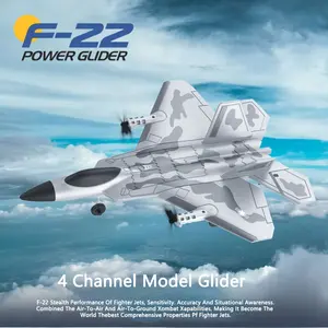 F22 RC Foam Plane 4 Channels 6G Auto Stabilization Stunt Remote Control Airplanes Aircraft Toys for Children With Light , 2 Batteries