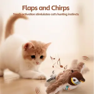 The PetUp Interactive Friendly Rechargeable Cat Chirping Toy