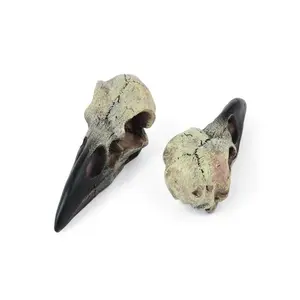 Gothic Resin Halloween Witch Raven Skull Necklace - Adjustable Pendant Jewelry, Unique Costume Party Accessory, Ideal Gothic Gift