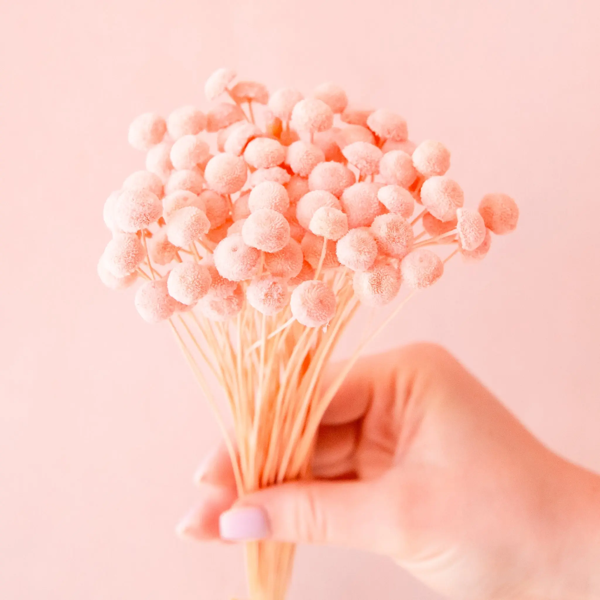 Button Flower | Candy Pink