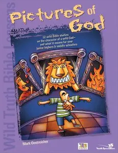USED-Wild Truth Bible Lessons--Pictures of God by Mark Oestreicher (Paperback)