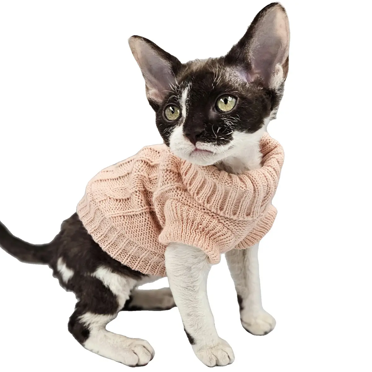 YokoKat Turtleneck Cat Sweater in Peach for Cats, Kittens, and Small Dogs casual soft